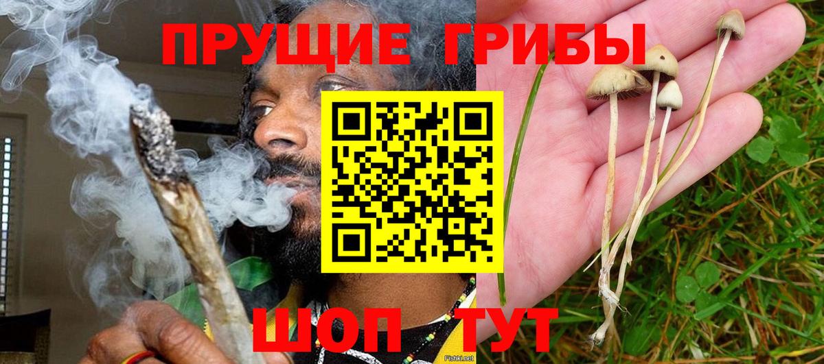 Галлюциногенные грибы мицелий  Вход с VPN  Обь 